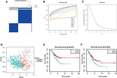 Integrated Bioinformatics Analysis Identifies a New Stemness Index-Related Survival Model for Prognostic Prediction in Lung Adenocarcinoma